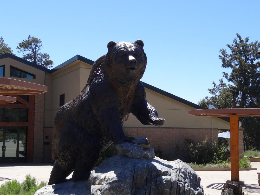 Big Bear Discovery Center-大熊湖必去景点