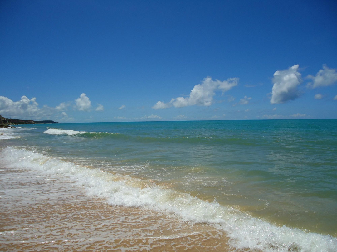 Rio da Barra Beach景点图片