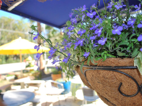 Hammock Wine and Cheese-棕榈海岸必去景点