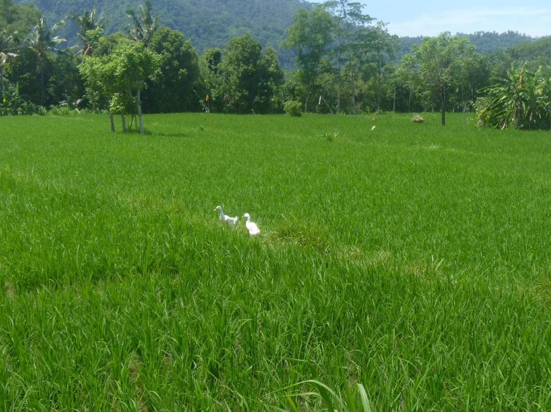 Wangsean Village-卡朗阿森必去景点