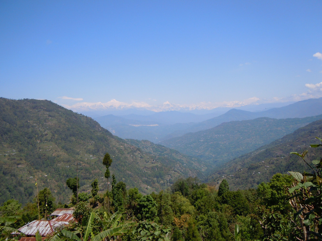 Neora Valley National Park景点图片