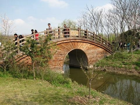 顾村公园 -上海市必去景点
