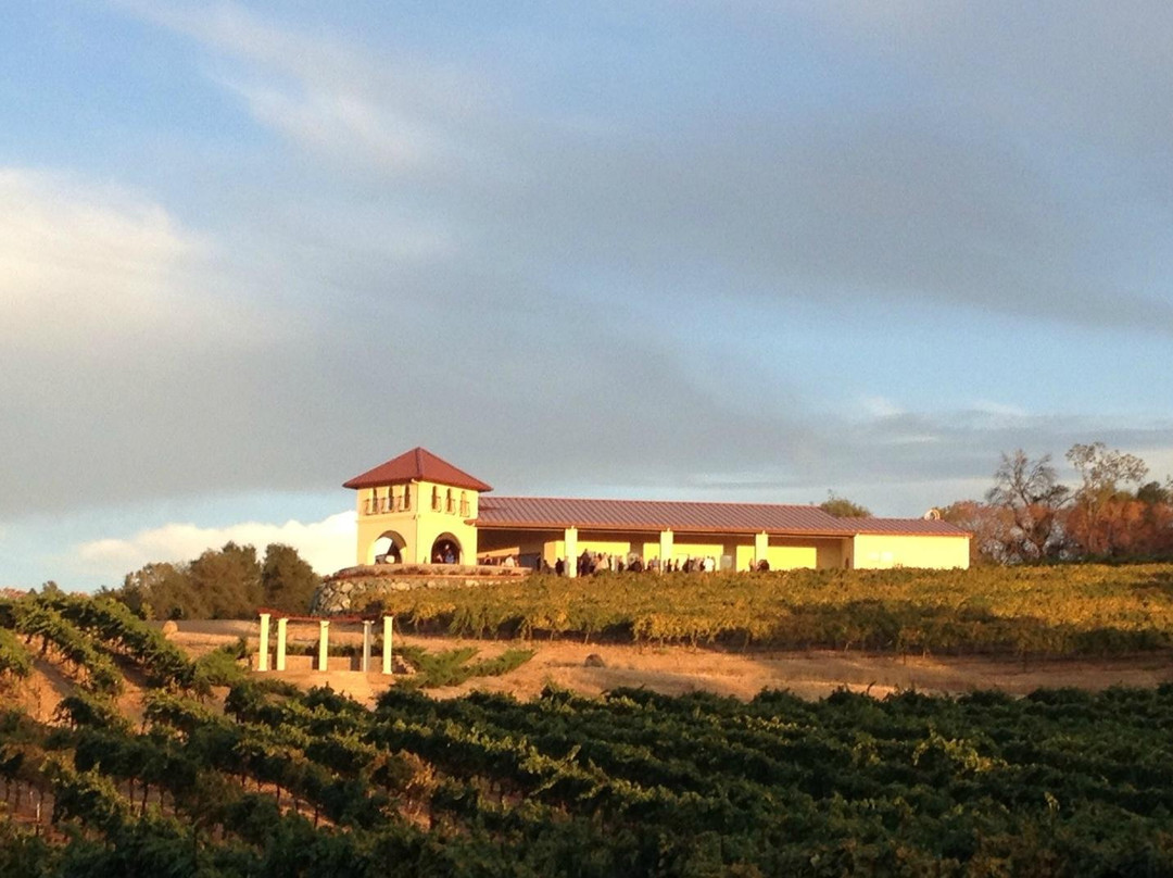 David Girard Vineyards-普莱瑟维尔必去景点