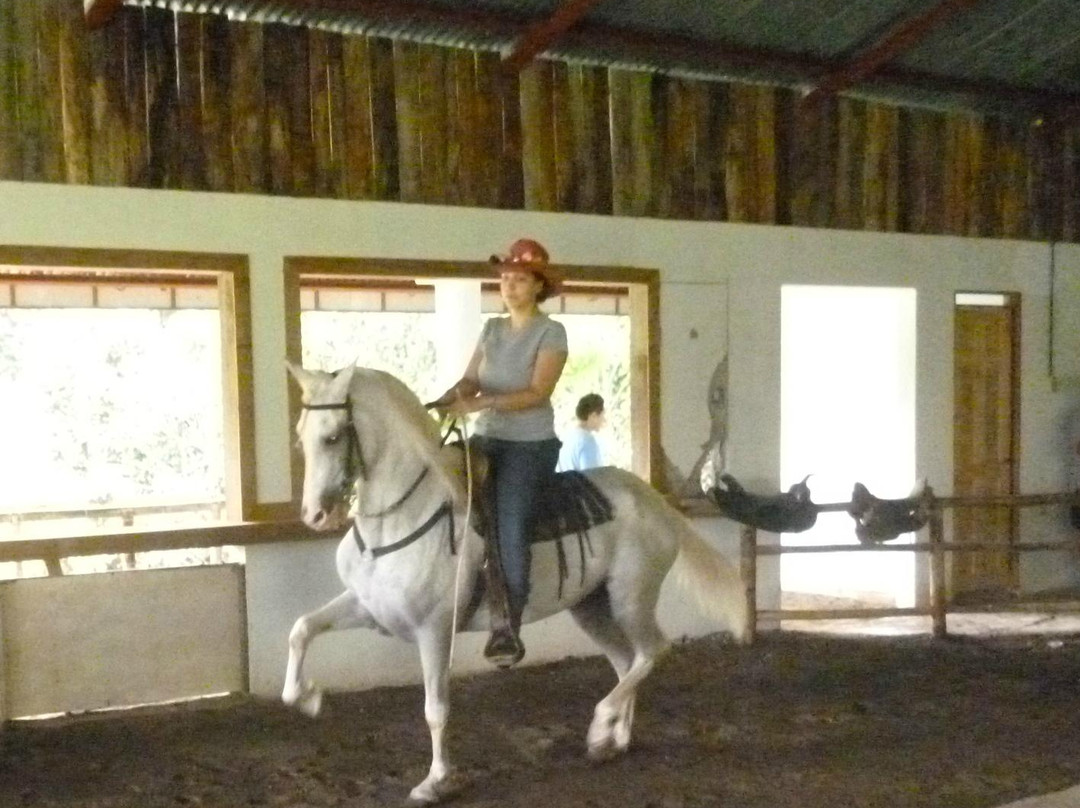 Establo Arenal Lodge