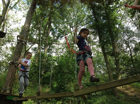 Jungle Parc - Northampton-韦灵伯勒必去景点