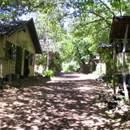 Tassajara Zen Mountain Center主图