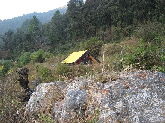 Janardan Jungle Tents