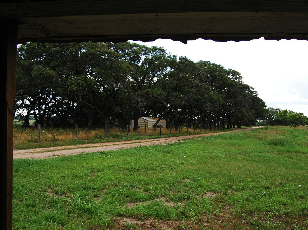 Shiner Hillside Guesthouse主图