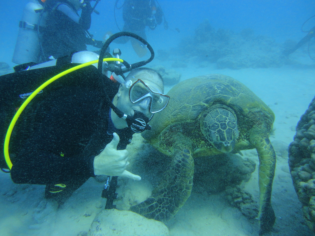 夏威夷彩虹潜水呼吸器-火奴鲁鲁必去景点