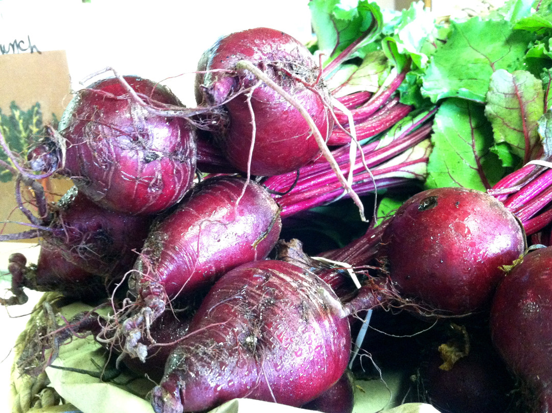 Blue Moon Acres-Pennington必去景点