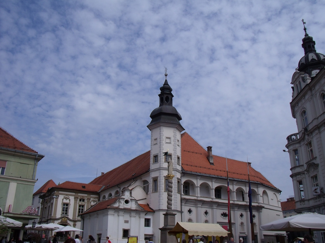 米拉G.旅馆主图