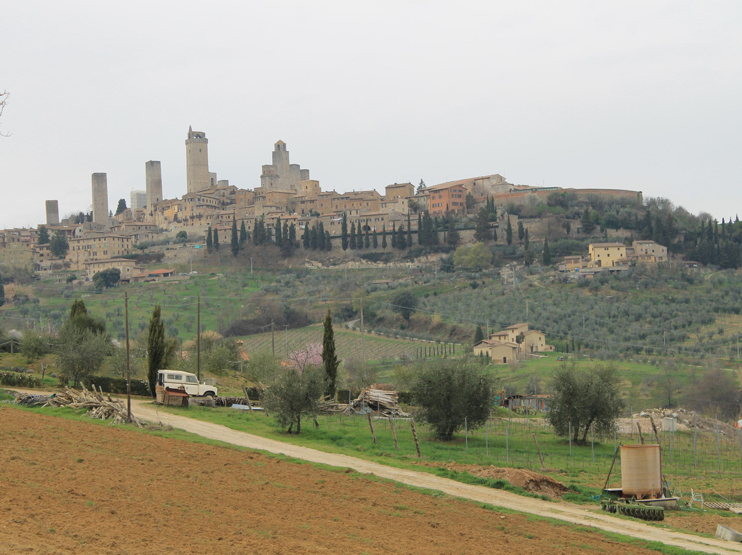 Tenuta Guardastelle - Boutique Winery景点图片