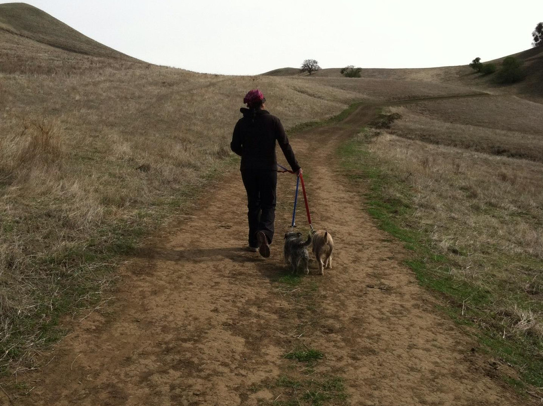Black Diamond Mines Regional Preserve-安条克必去景点