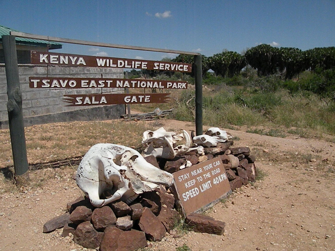 Donamasai Kenya Tours-马林地必去景点