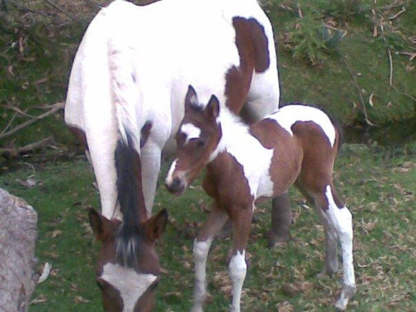 Hosteria Gilocarmelo-Cotopaxi Province必去景点