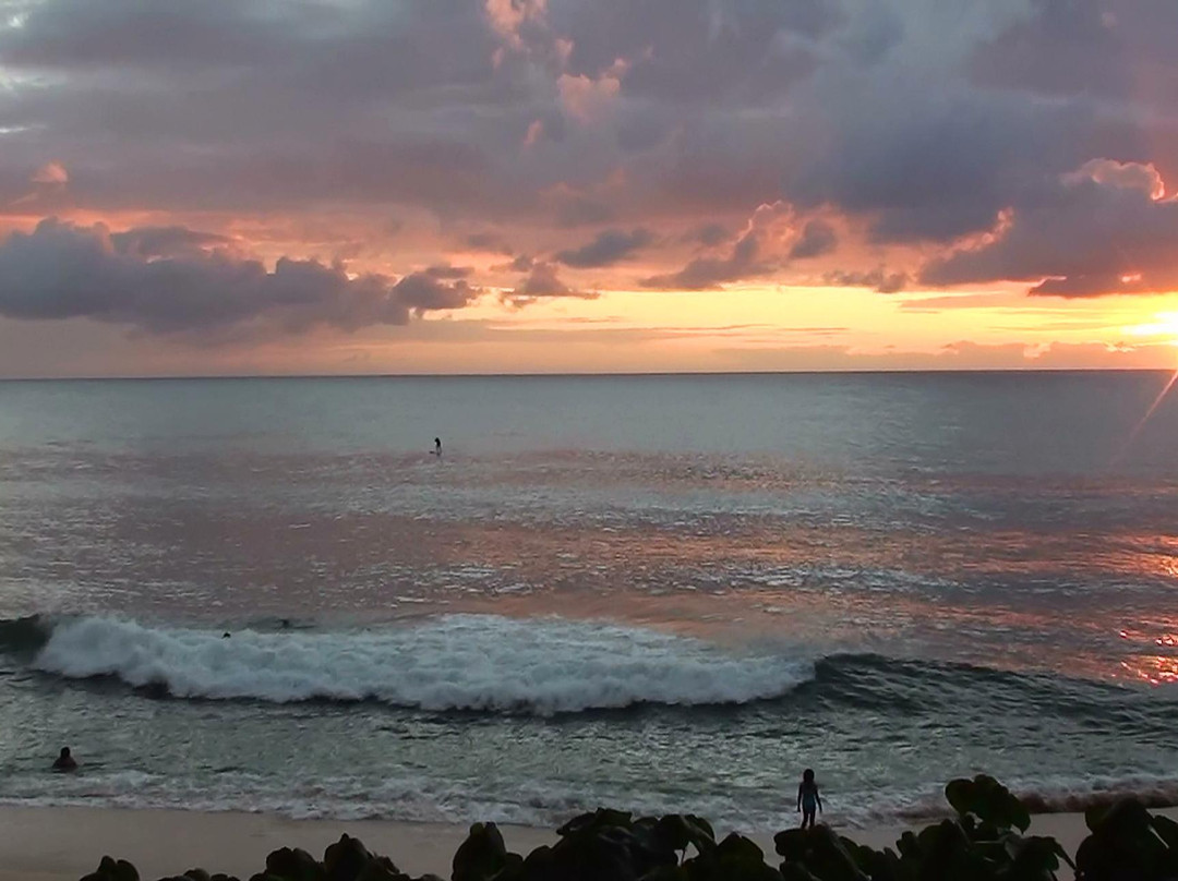 日落海滨公园-哈雷瓦必去景点