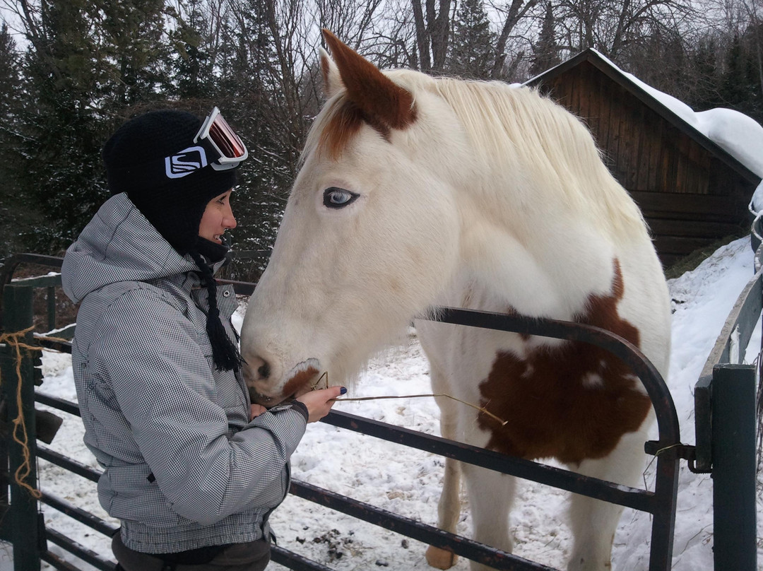 Ski Brule-Iron River必去景点