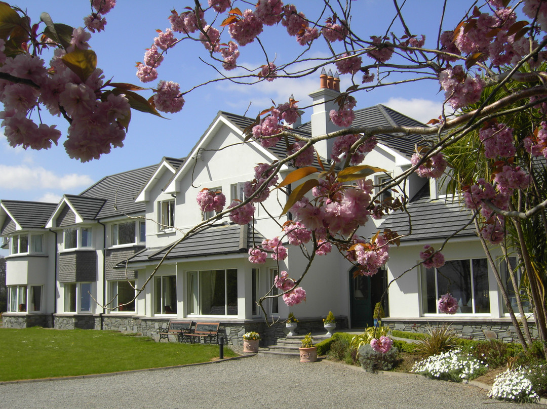 Fossa旅游攻略图片