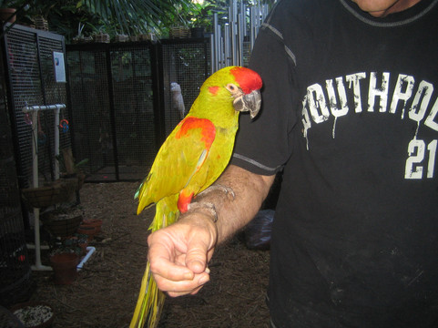 Nancy Forrester's Secret Garden-基韦斯特必去景点