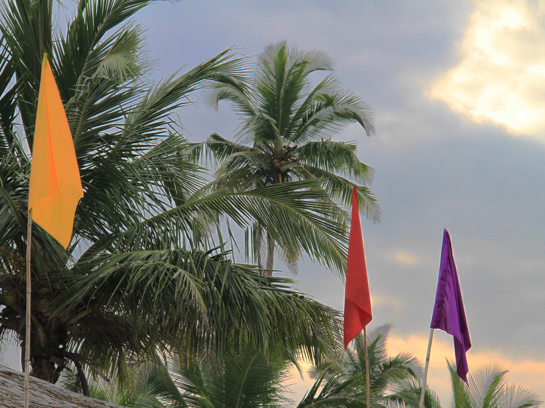 Colva Beach-Colva必去景点