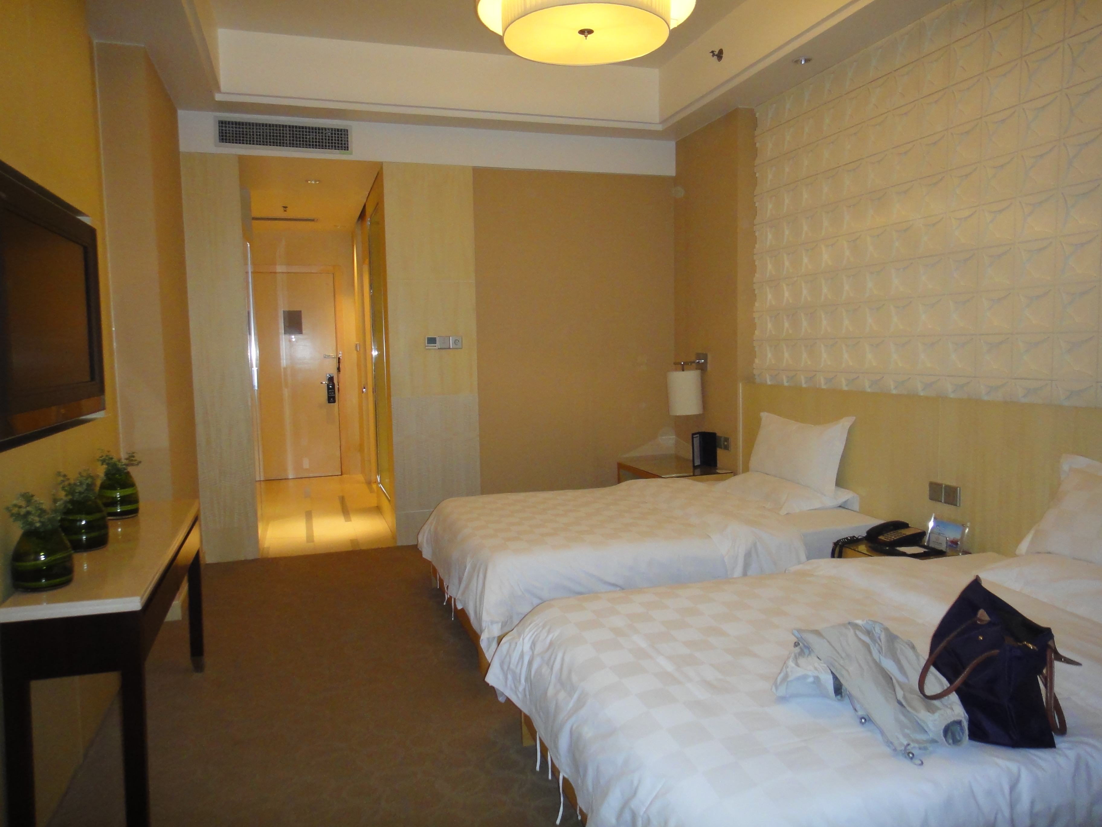 颐丰大酒店-客卧