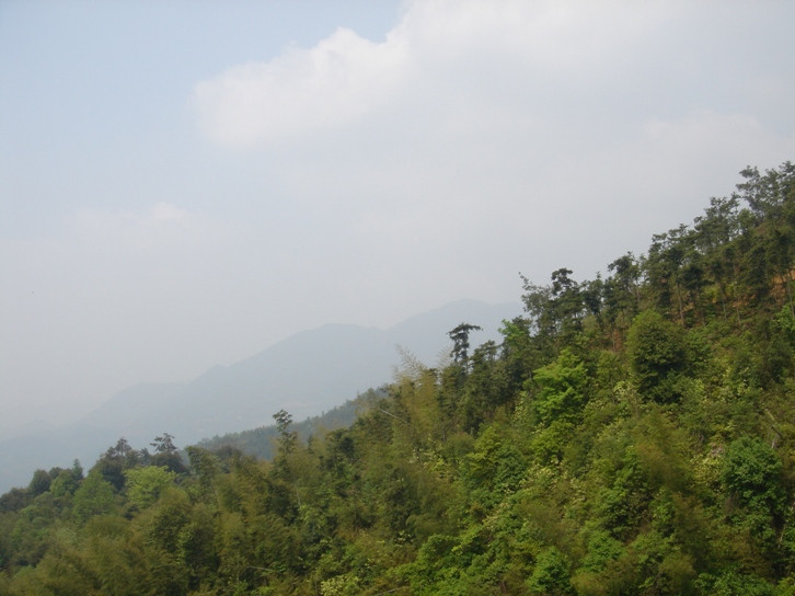 丫山森林公园景点图片