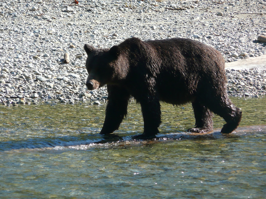 Aboriginal Journeys - Wildlife And Adventure Tours-坎贝尔里弗必去景点
