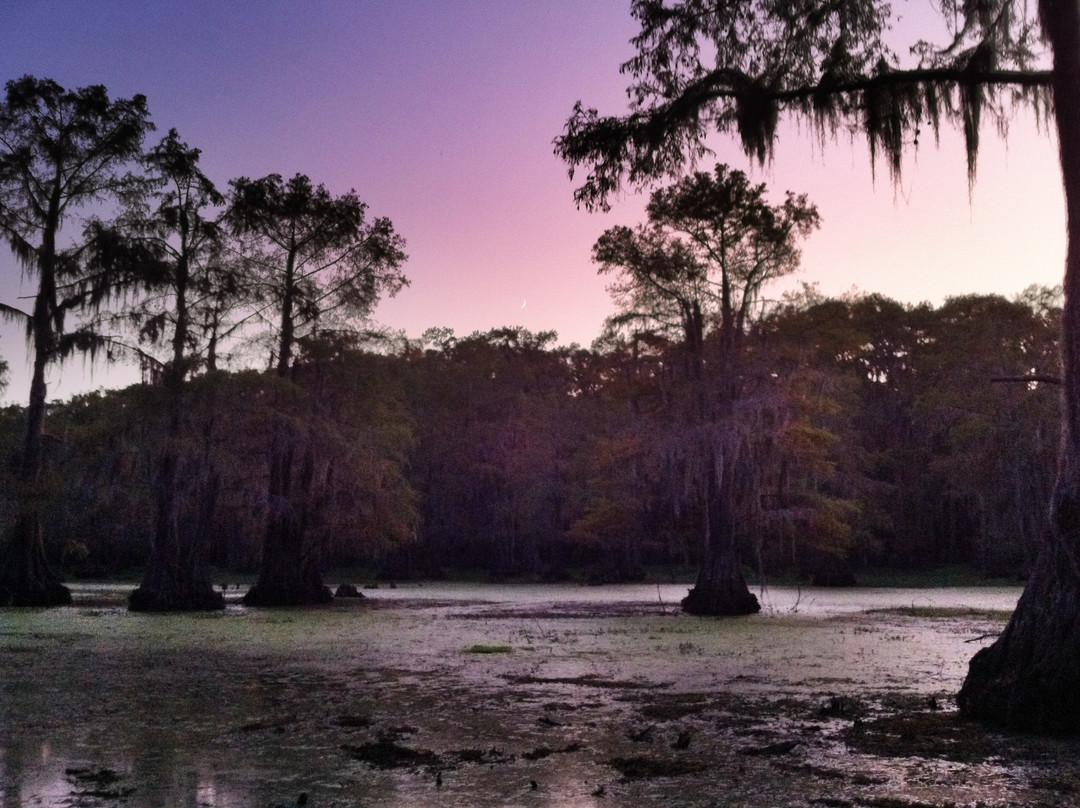 Caddo Outback-Karnack必去景点