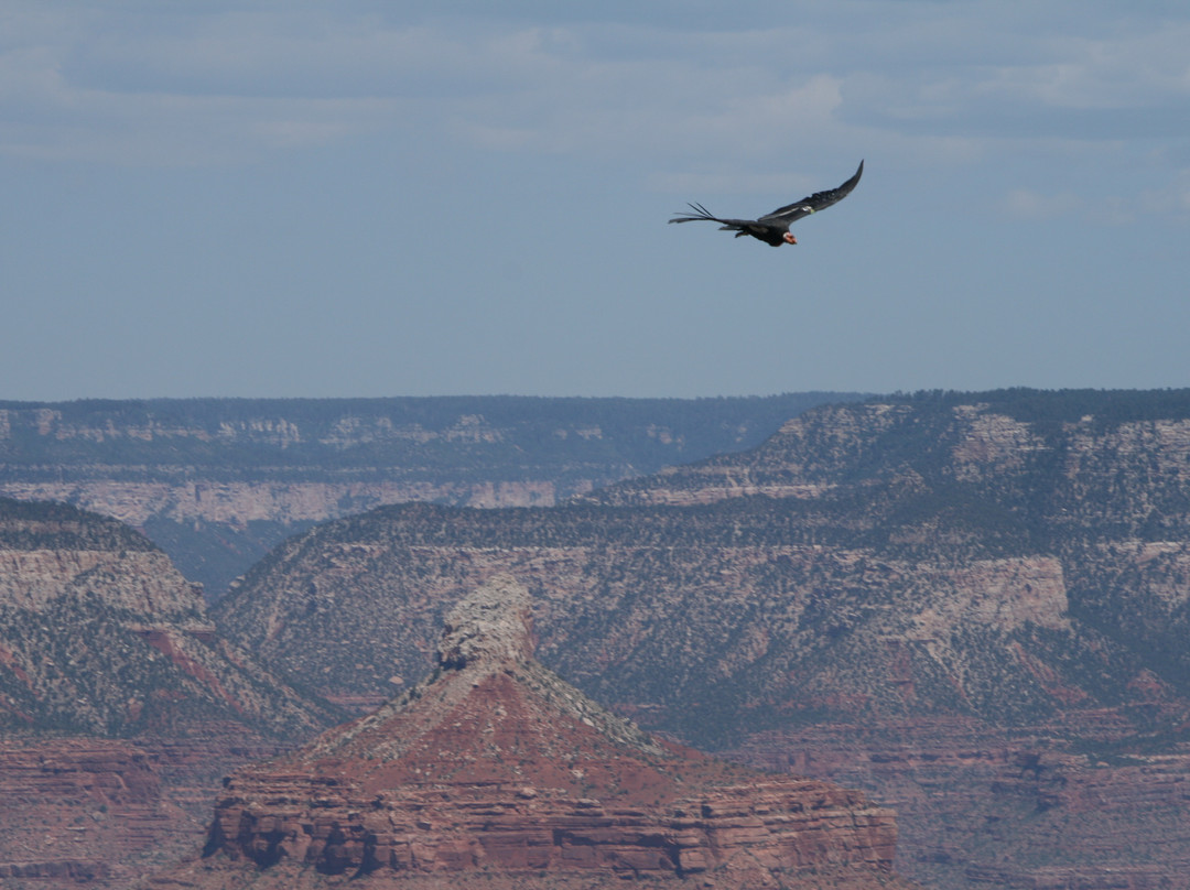 Touch the Southwest-弗拉格斯塔夫必去景点