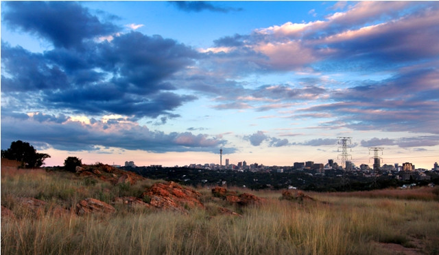 Melville Koppies Nature Reserve景点图片