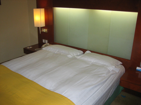 皇家大饭店主图