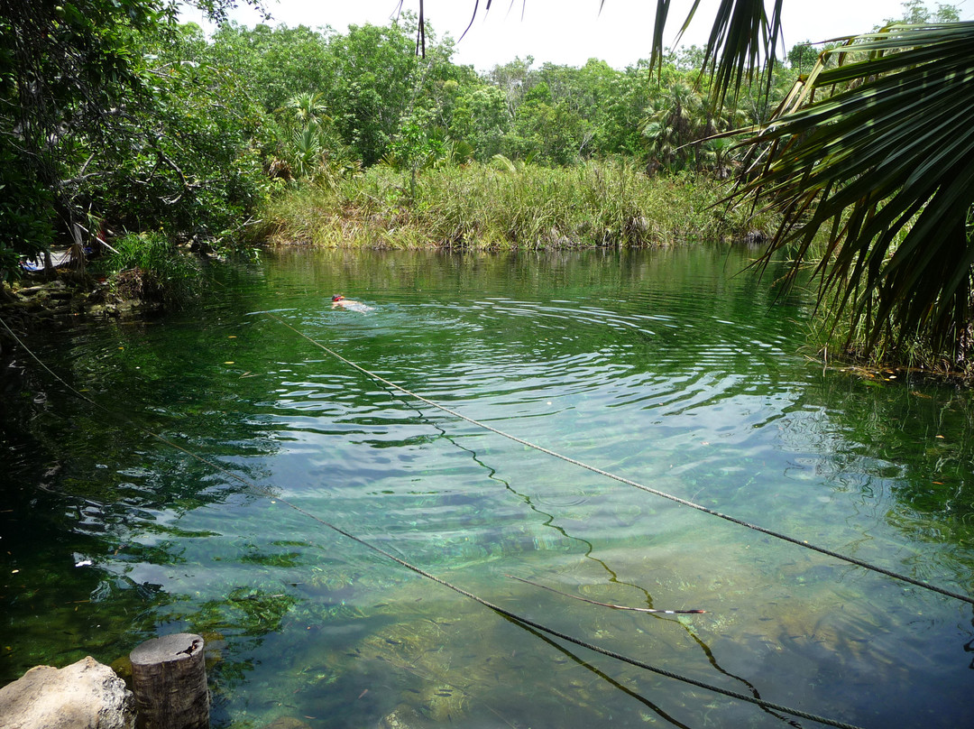Cenote Crystal景点图片
