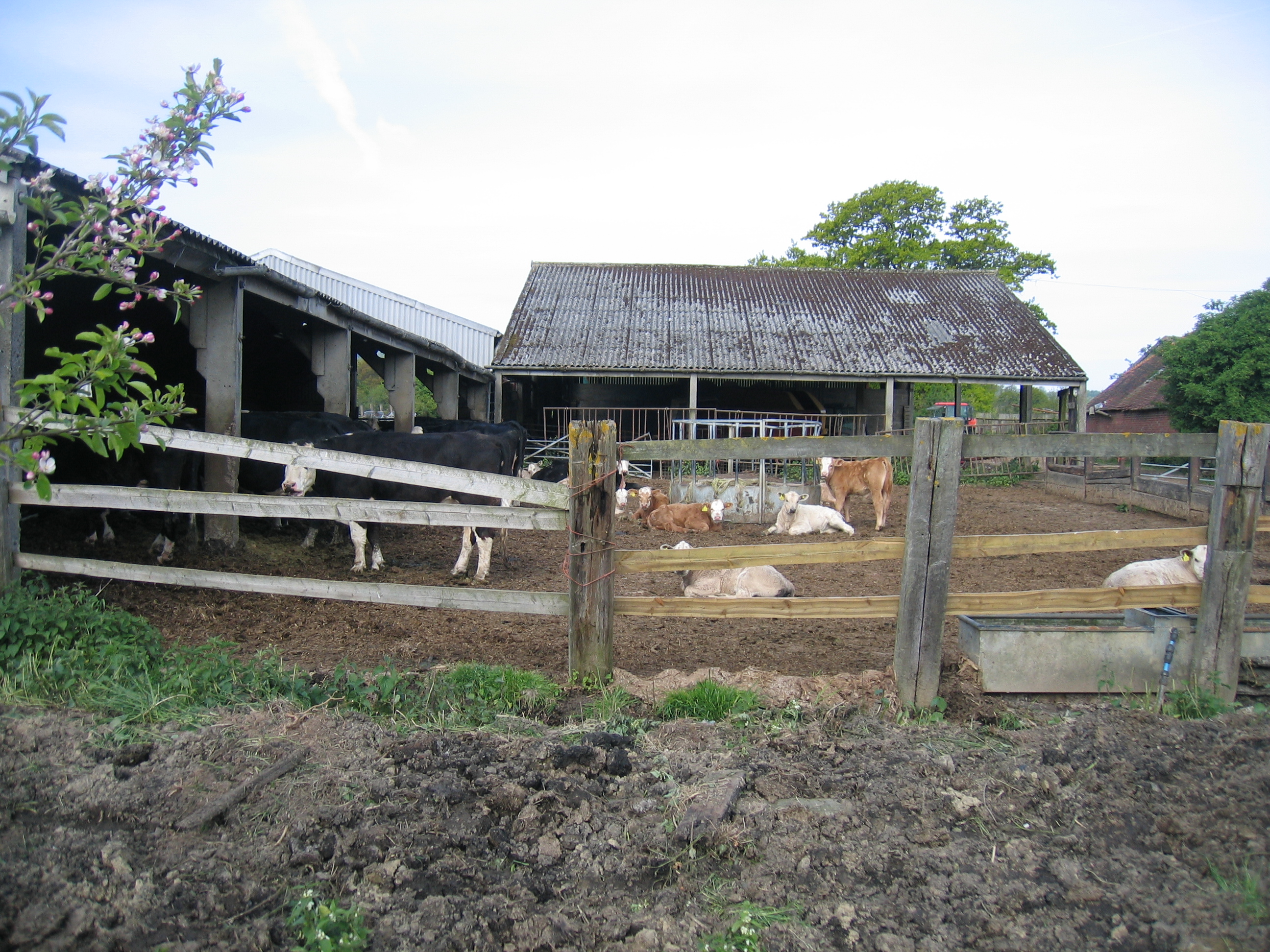 Ashleigh Bed and Breakfast-客卧