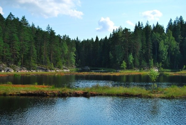Nuuksio National Park-埃斯波必去景点