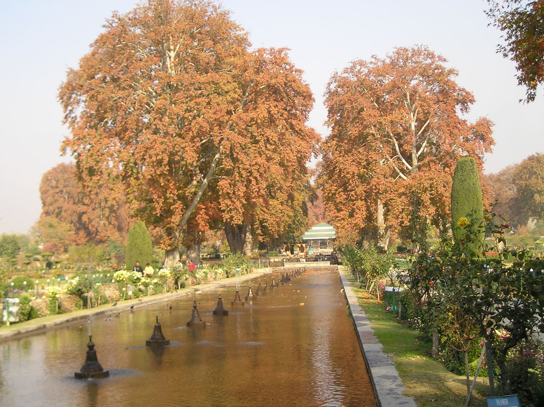 Mughal Gardens-斯利那加必去景点