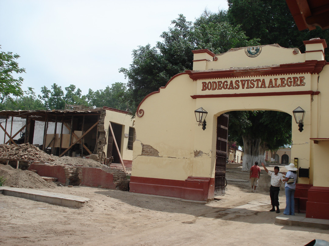 Bodegas Vista Alegre-伊卡必去景点
