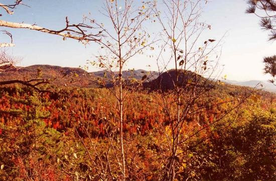 Saint Regis Falls旅游景点-Adirondack Mountains