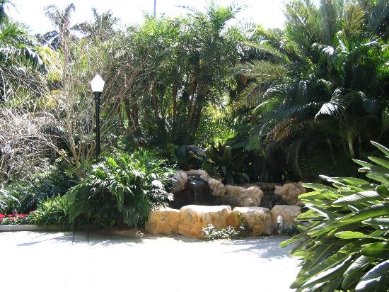 Sunken Gardens-圣彼德斯堡必去景点