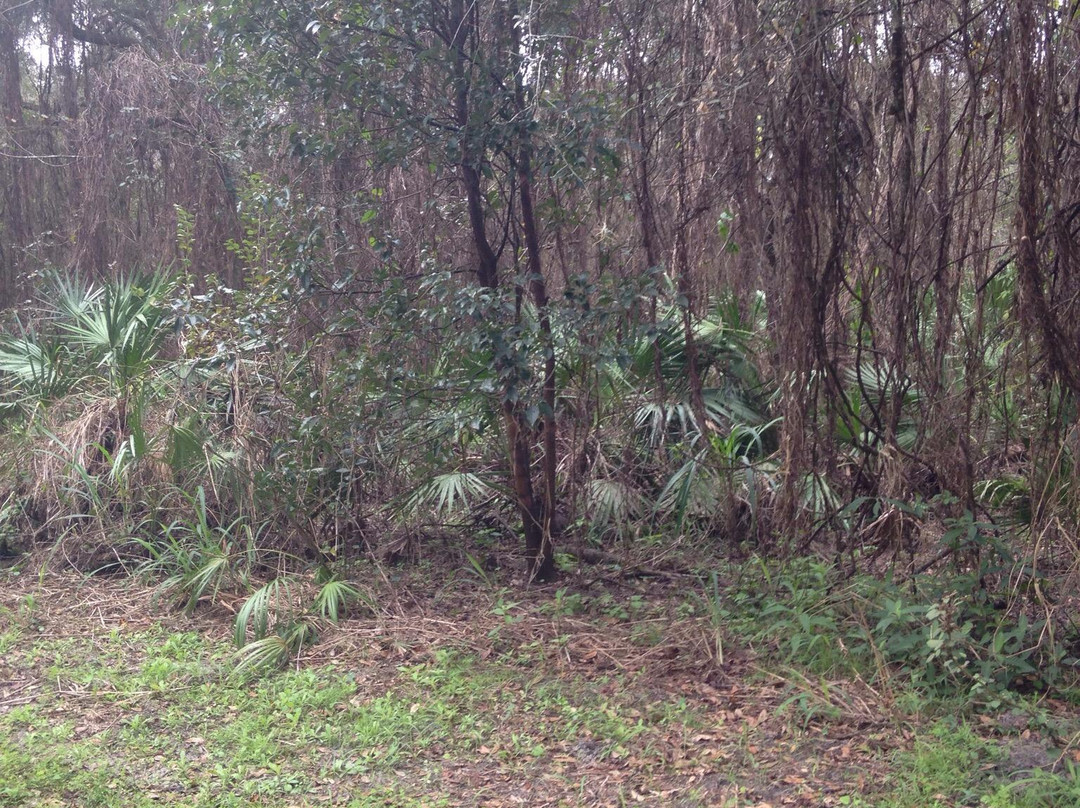 Morgan Park-阿卡迪亚必去景点