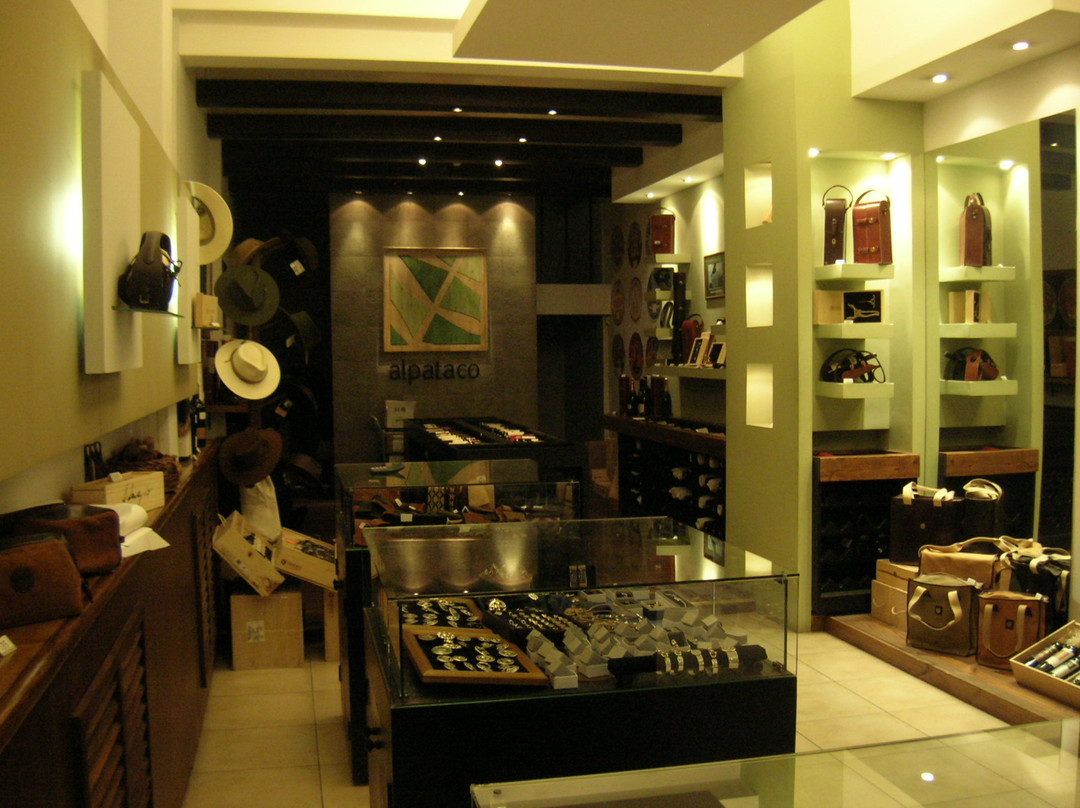 Alpataco Vinos y Cuero-门多萨必去景点