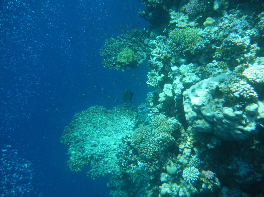 Blue Hole-达哈卜必去景点