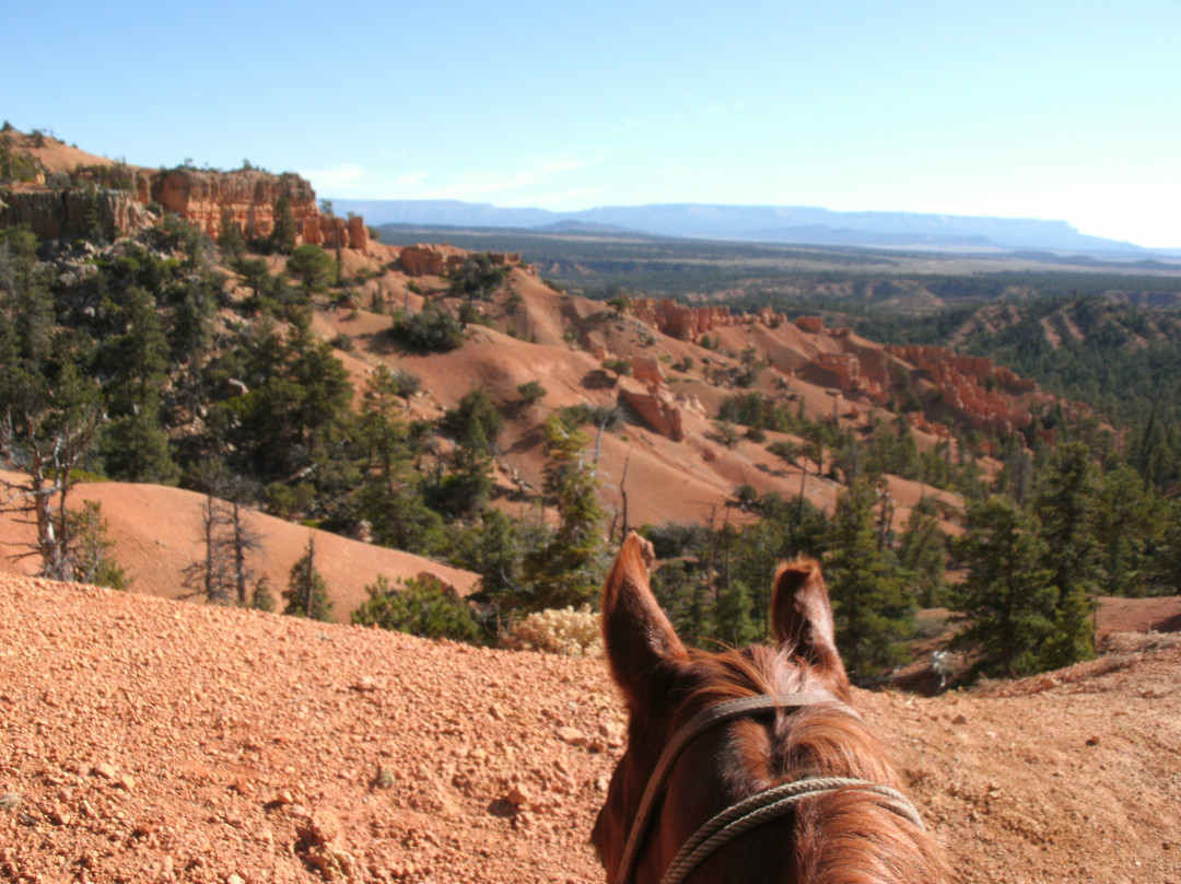 Ruby's Horseback Adventures-布莱斯必去景点
