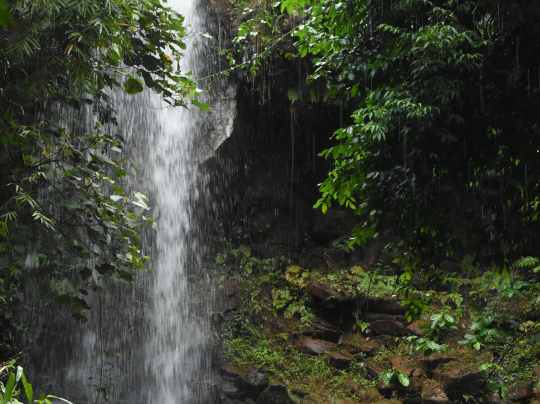 Dakdam Waterfall景点图片