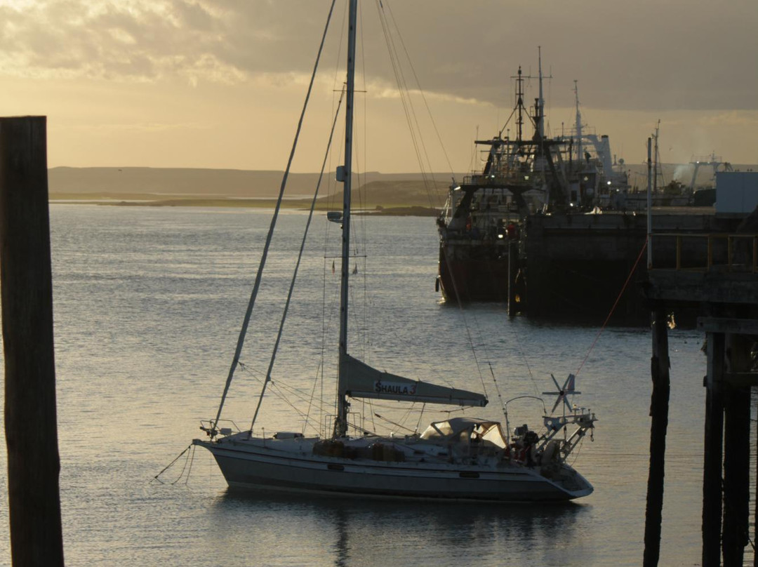 Multirubro Puerto Pizza