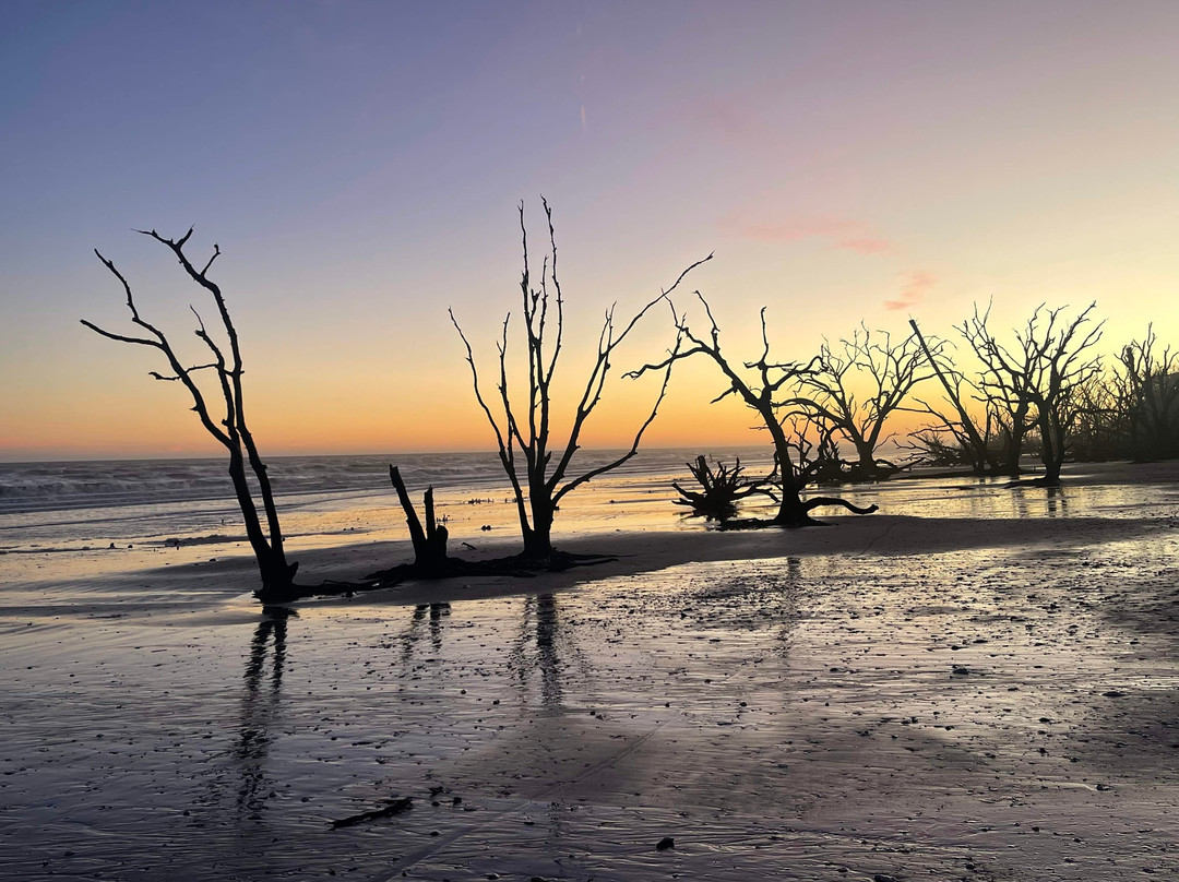 Driftwood Beach景点图片