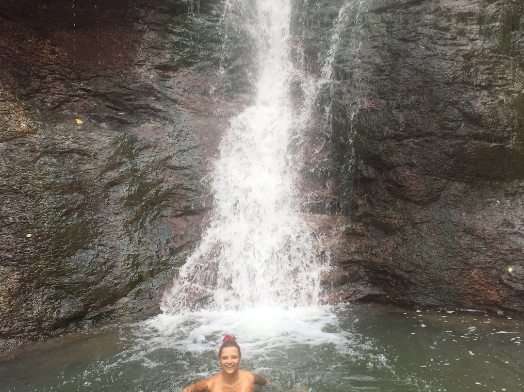 Chedoke Falls景点图片