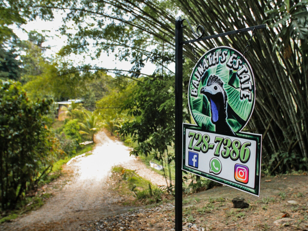Bajnath's Estate Hummingbird Sanctuary-Matura必去景点