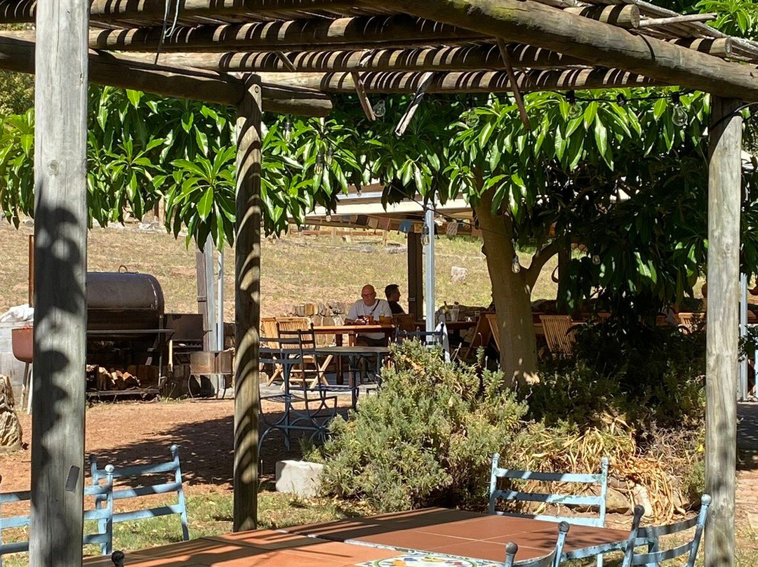 Cape Farmhouse Beer Garden