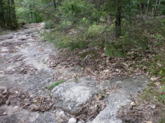 Paris旅游攻略图片