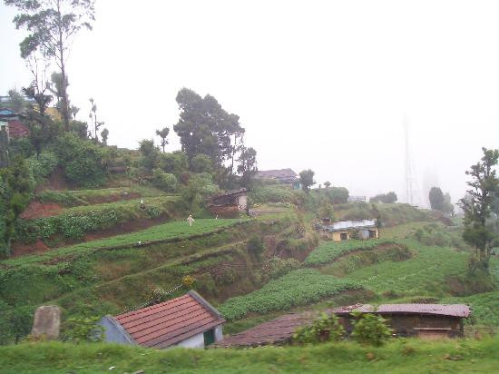 Utti旅游攻略图片